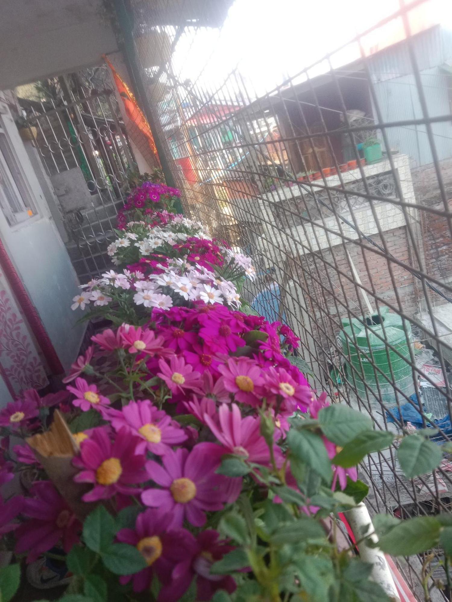 Beverly Hills Home Stay Darjeeling  Exterior photo