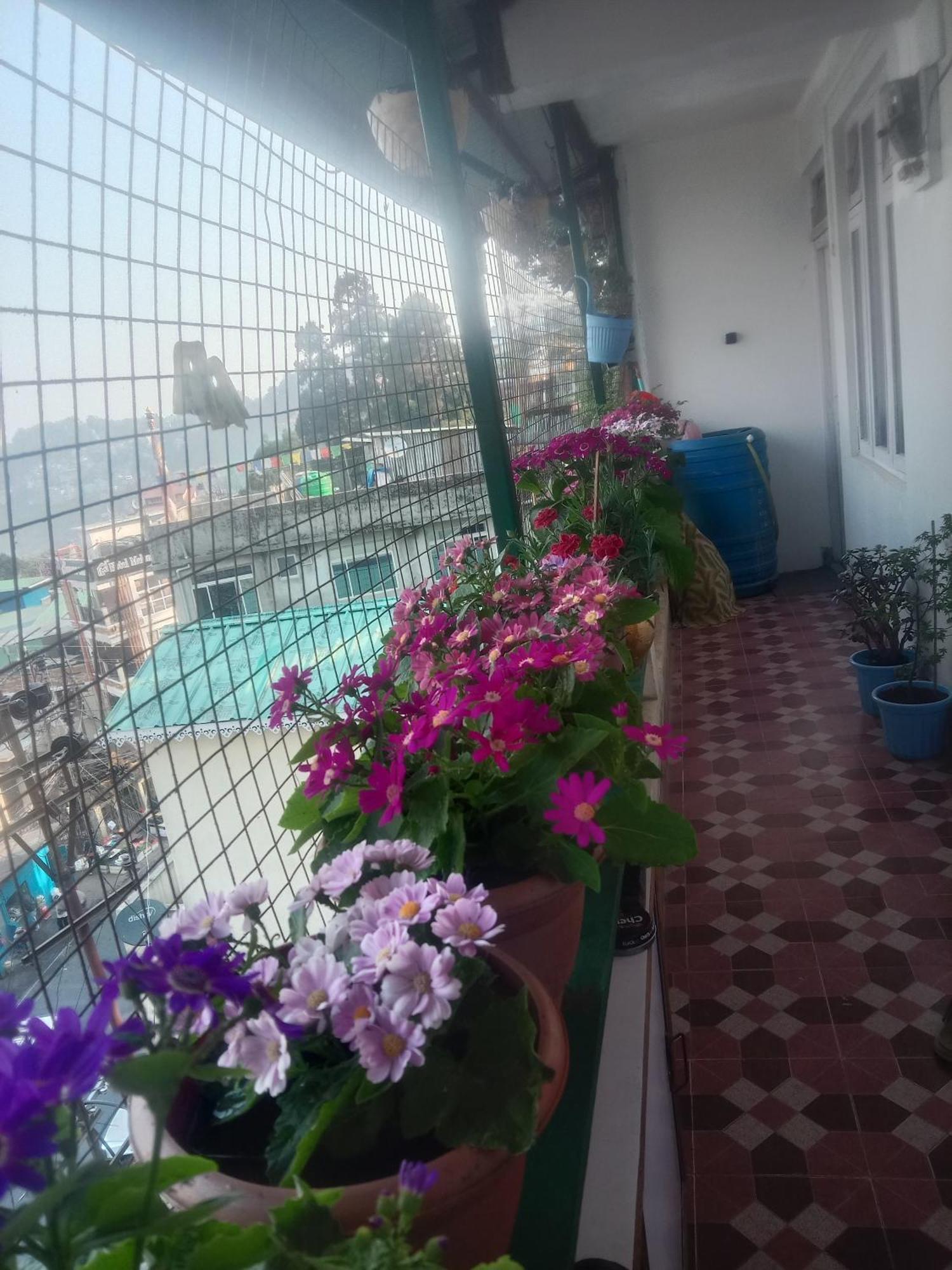 Beverly Hills Home Stay Darjeeling  Exterior photo
